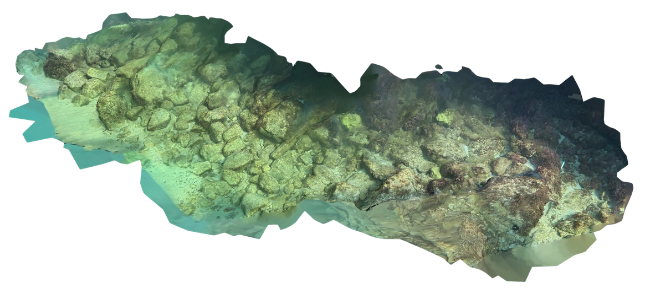 3D Model of Seabed